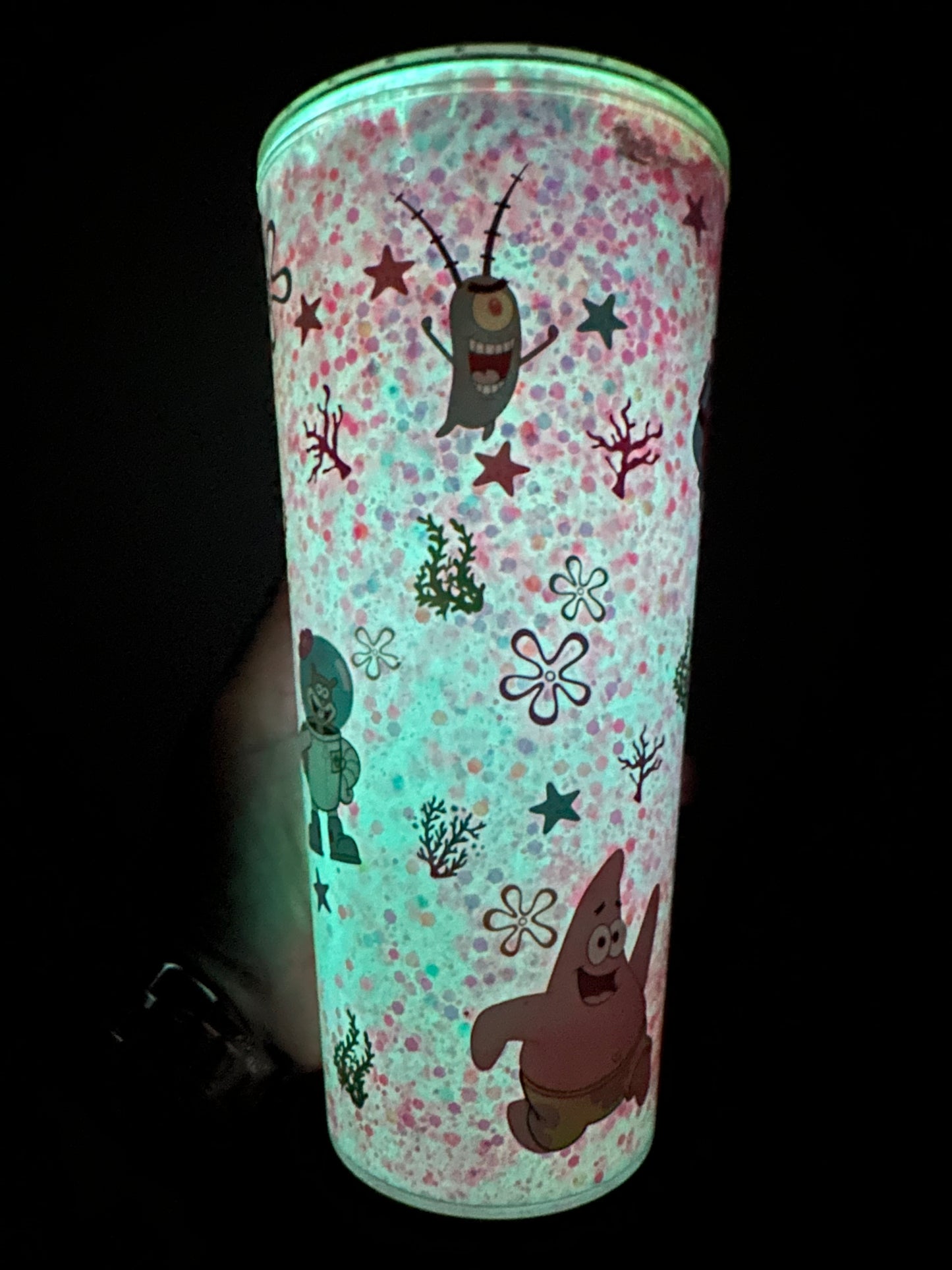 20oz Acrylic S.B. Snowglobe